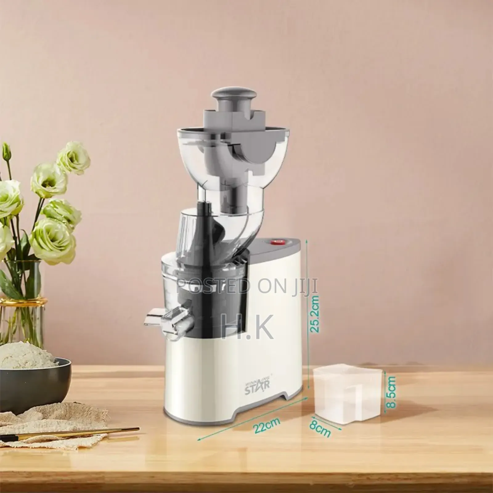 Winning Star Slow Juicer | St-5598