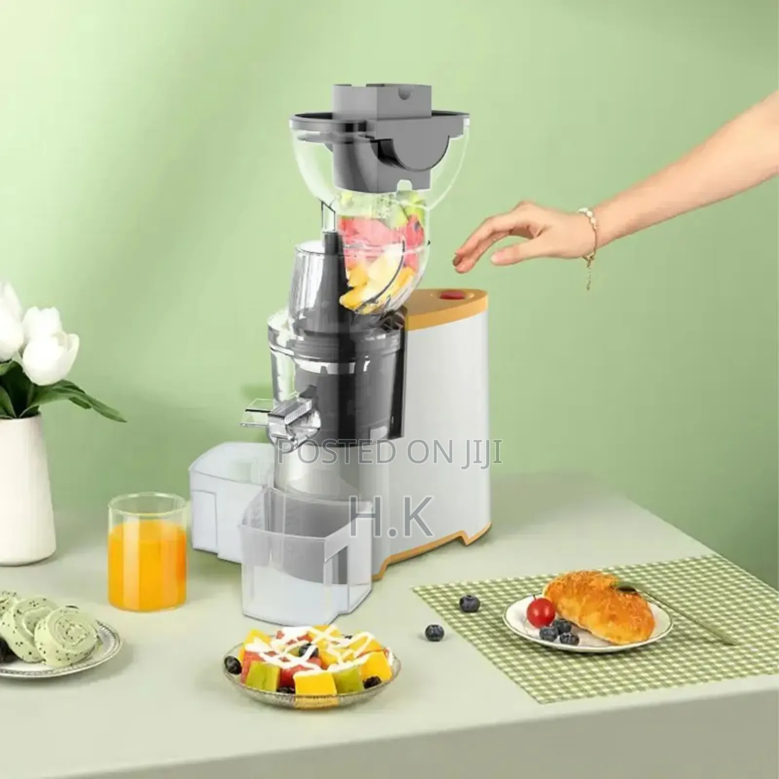 Winning Star Slow Juicer | St-5598