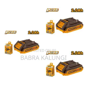 20v Lithium-Ion Battery Pack 2.0ah P20s