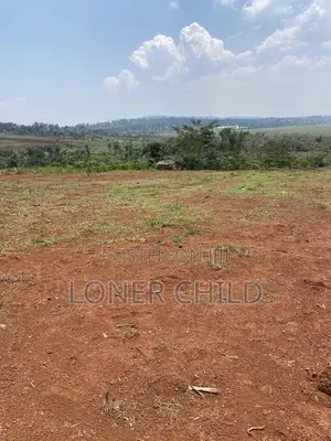 Prime Estate Land In Nkokonjeru