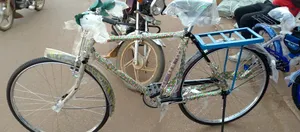 Kid Ride Adult Bicycle