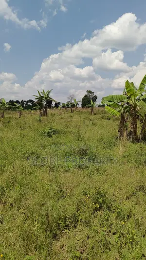 4 Acres of Farm Land for Sale in Ndese Nakifuma