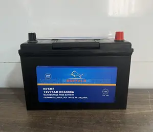 N75 Buffalo Maintenance Free Car Battery