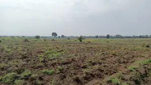 1 Square Mile of Farm Land for Sale in Kayunga at Only 9m Per Acre