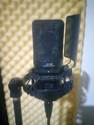 Microphone
