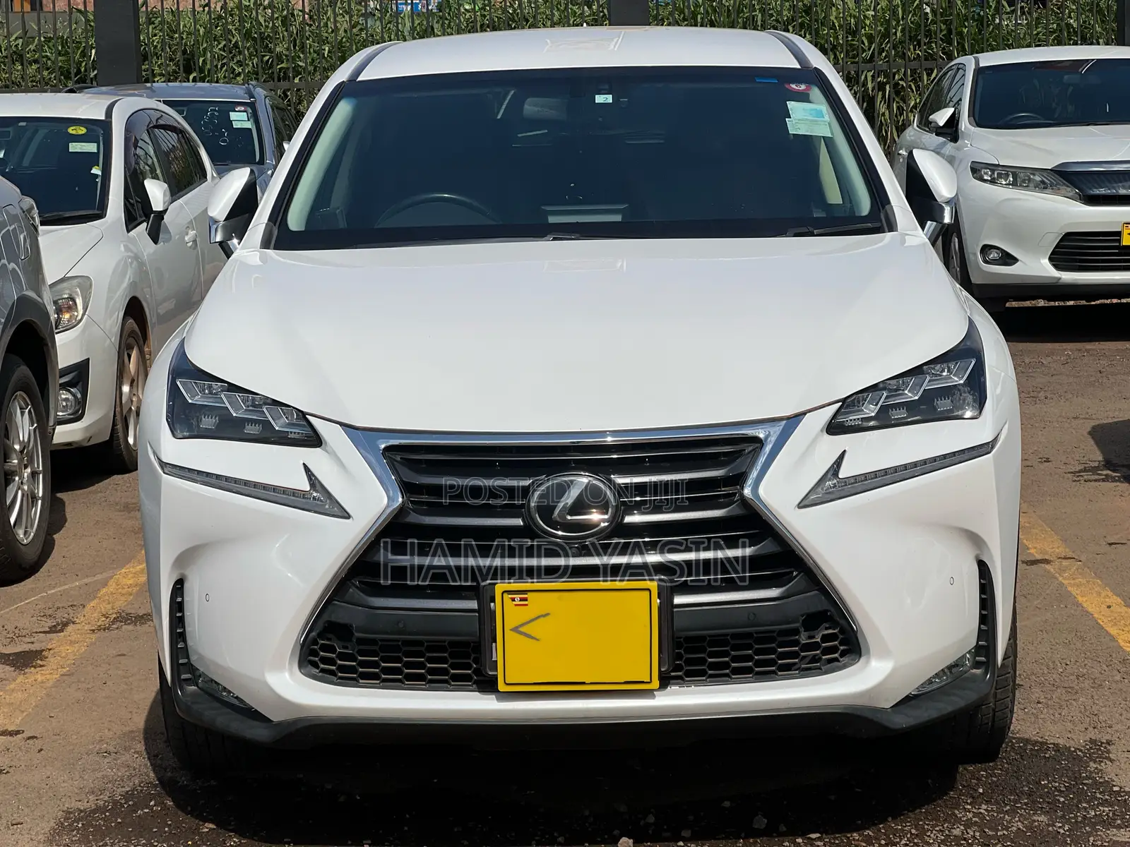 Lexus NX 2015 White