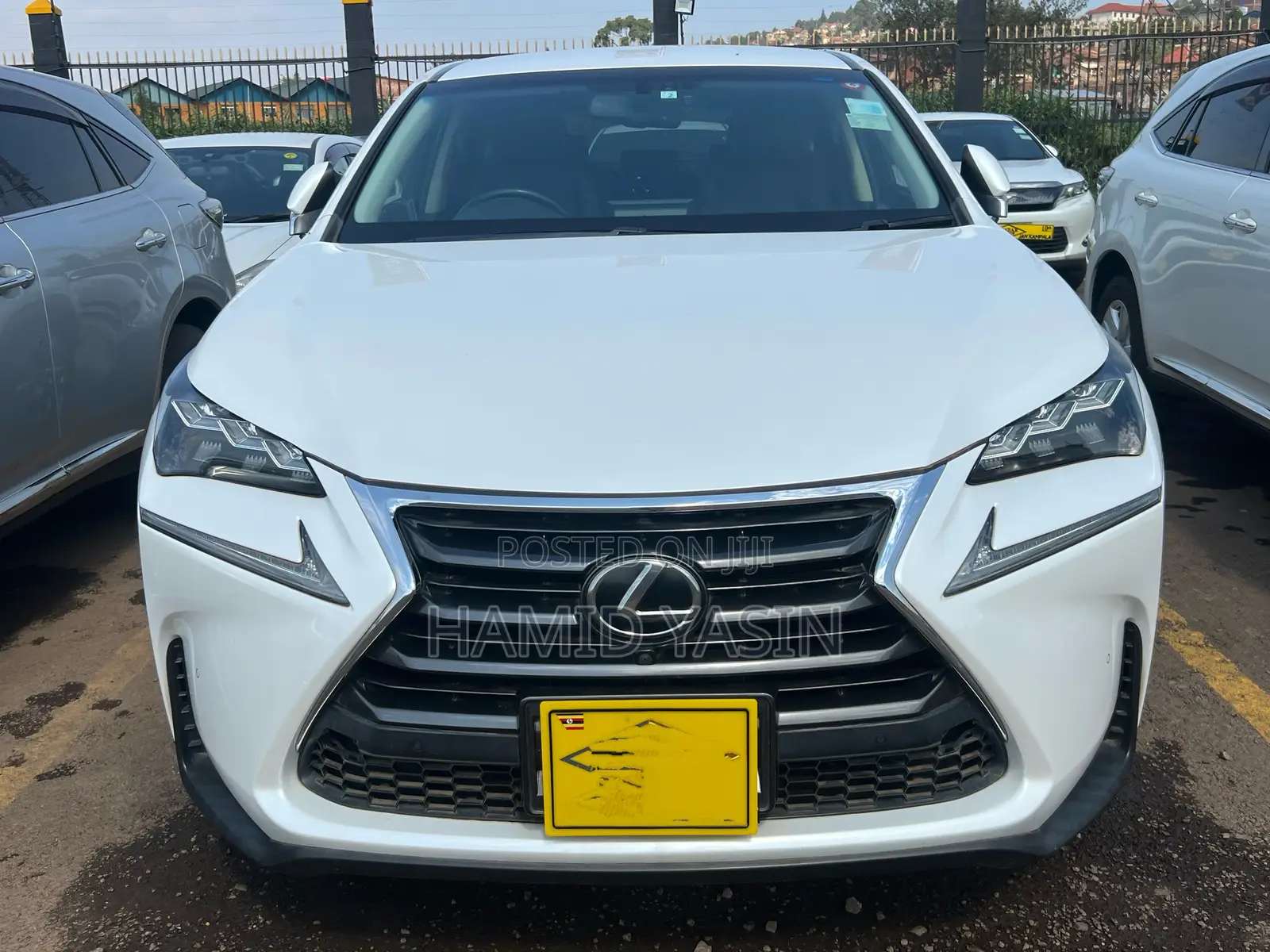 Lexus NX 2015 White