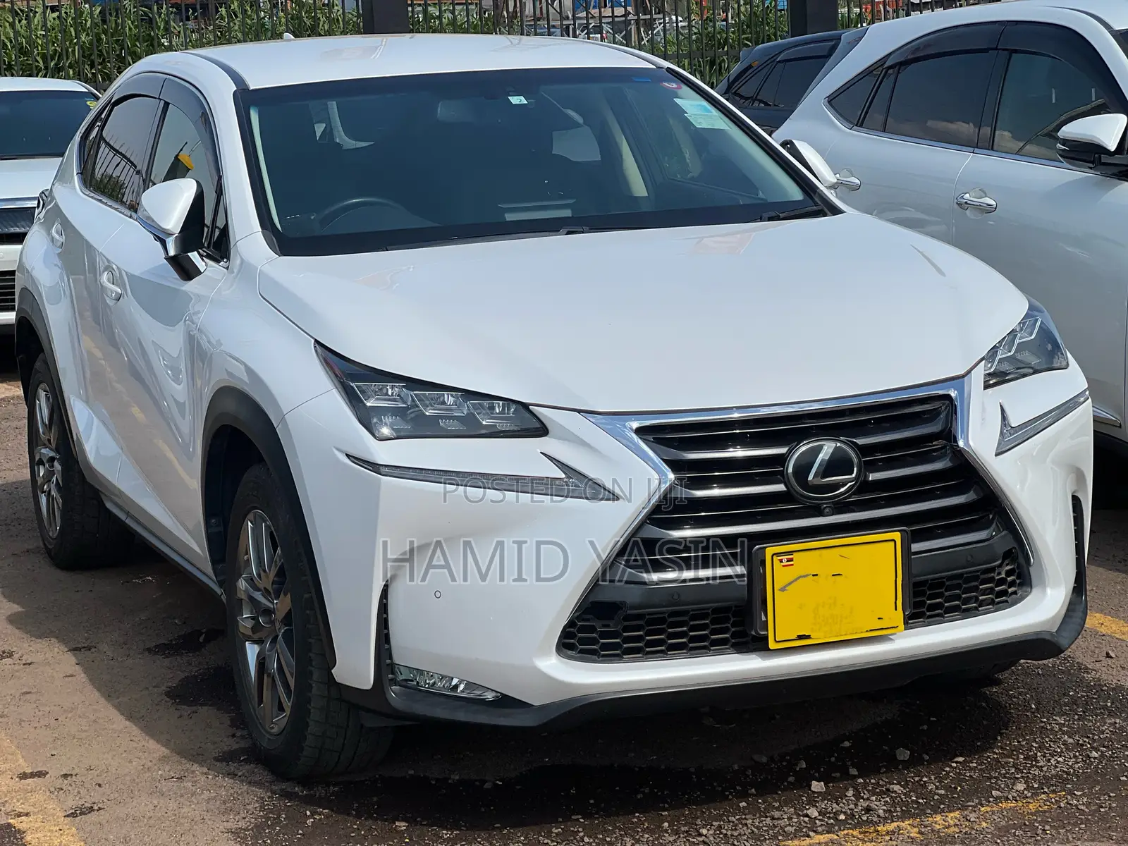 Lexus NX 2015 White