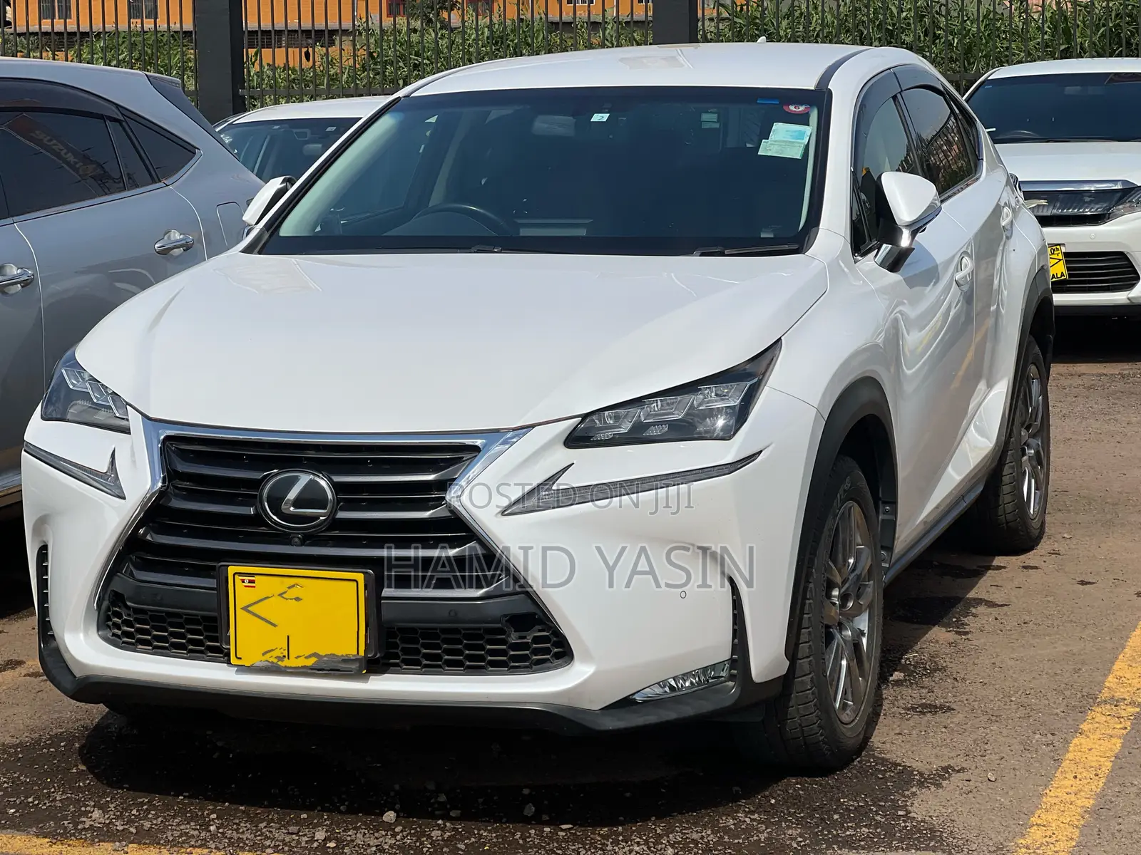 Lexus NX 2015 White