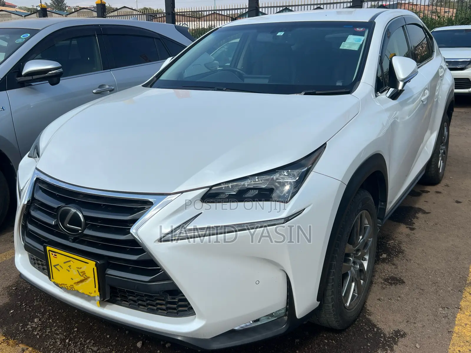 Lexus NX 2015 White