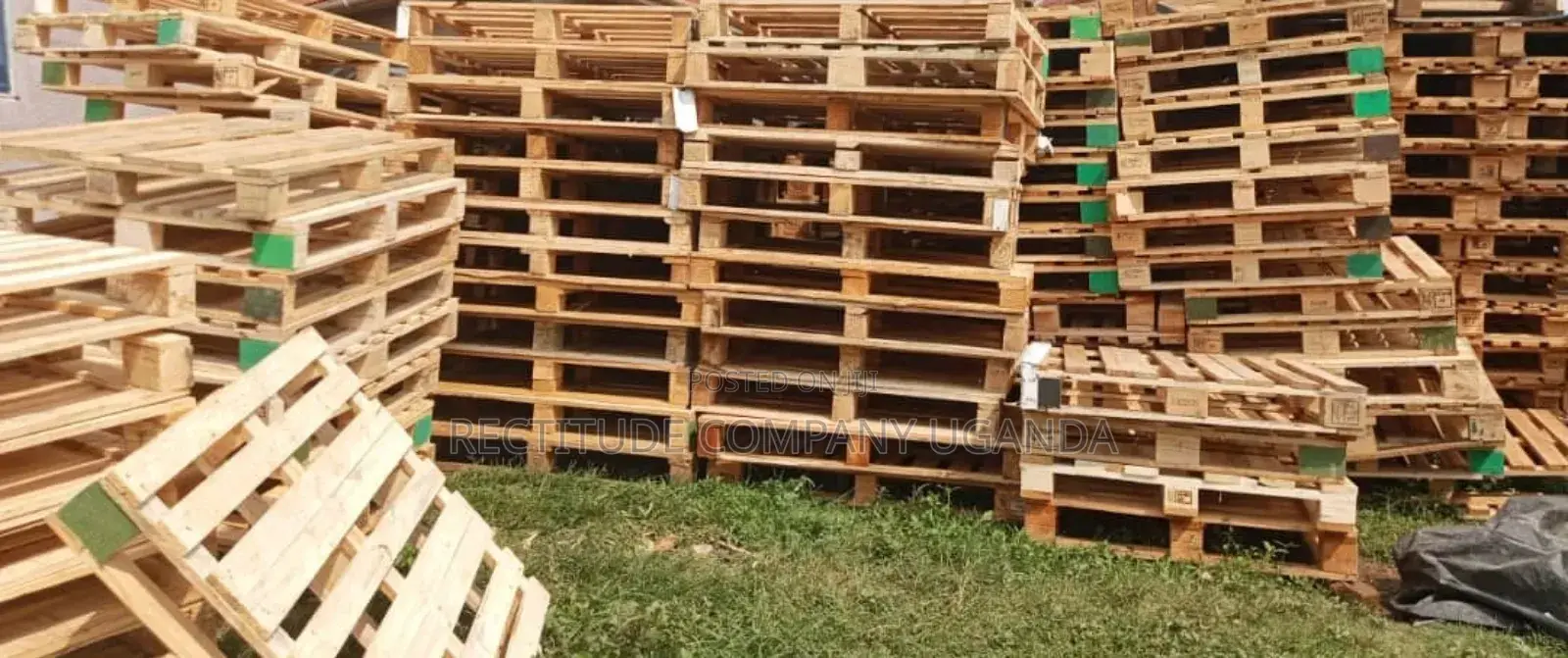 Brand New Pallets