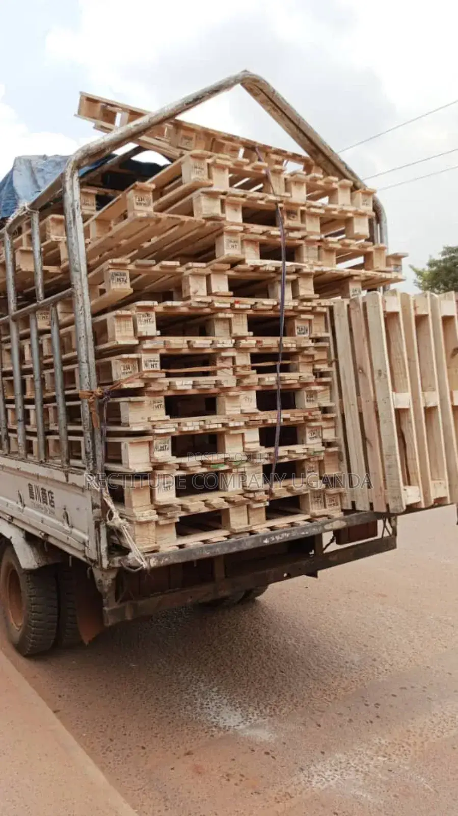 Brand New Pallets