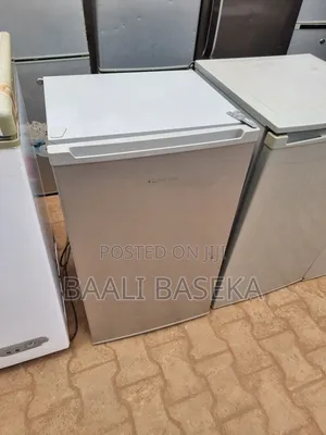 Popular Fridge Repairing Guys