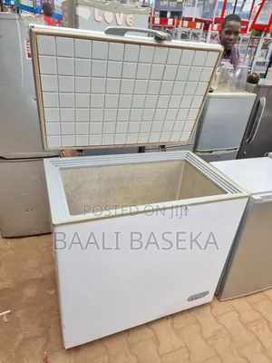Grateful Freezer Repairing Services at Low Cost