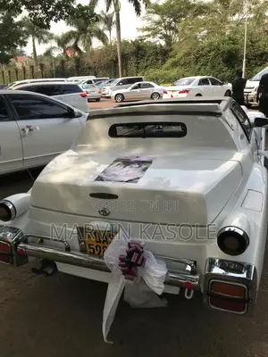 Vintage Car for Executive Hire