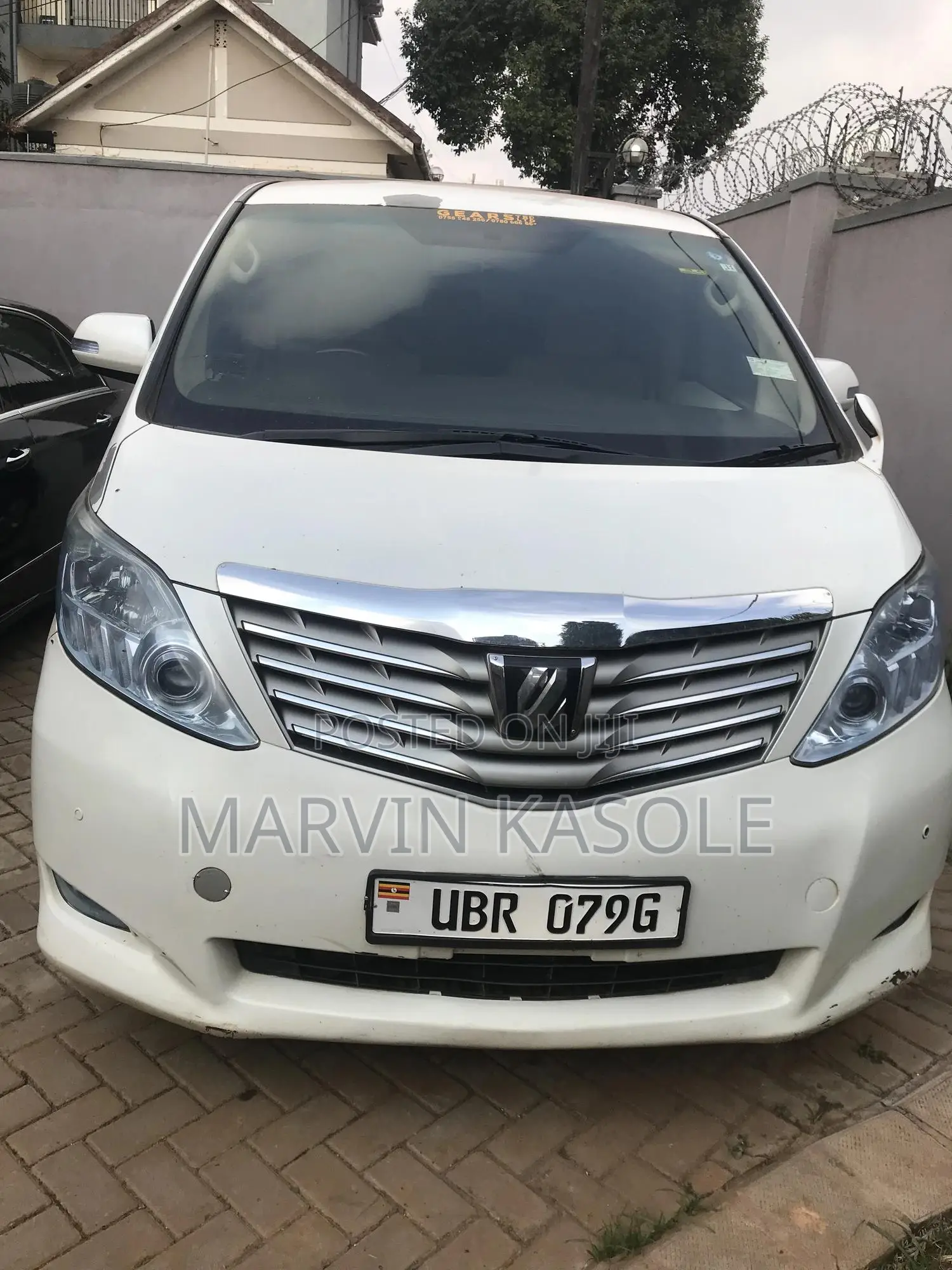 Alphard for Hire