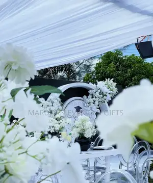 Events/Graduation Decor