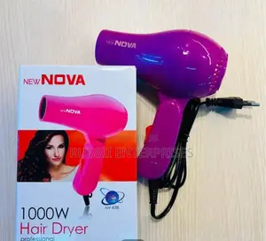 Professional Hair Dryer