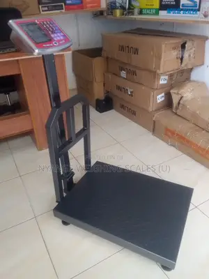 Digital 350kg Weigh Platform Weighing Scale Industrial Weighing Scale(