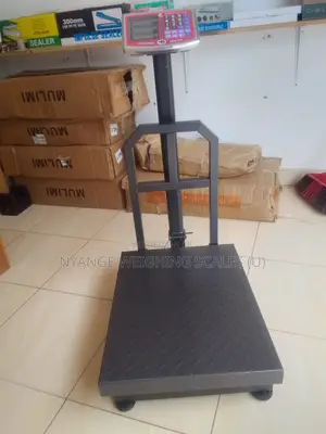 Platform Weighing Scale 350kg Weigh Factory Digital Weighing Scale(7)