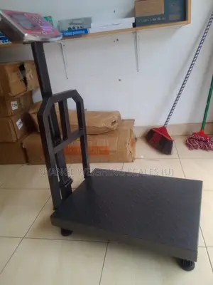High Accuracy Weighing Scale Digital Weigh Platform Weighing Scale