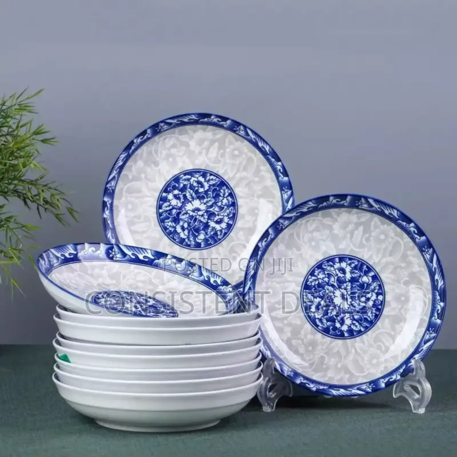 12pcs Dinner Plates