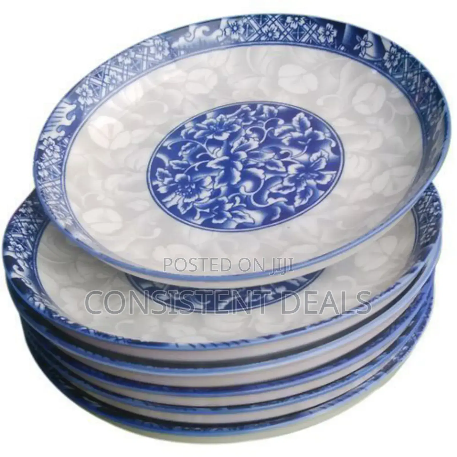 6pcs Dinner Plates