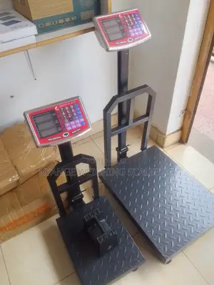 Platform Weighing Scale Machine 350kg Weigh Digital Weighing Scale
