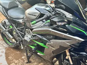 Kawasaki Ninja H2 SX 2024 Green