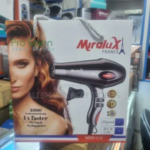 Professional Hair Dryer