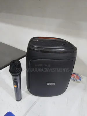 Perfect Rechargeable Speaker