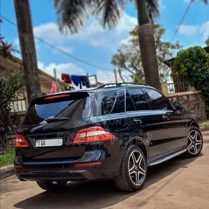 Mercedes-Benz M Class ML350 4dr SUV (3.5L 6cyl 7A) 2014 Black