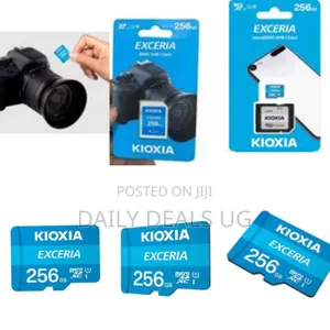 Kioxia Exceria Sd Microsd Memory Cards 256gb 100mb/S Full Hd Recording