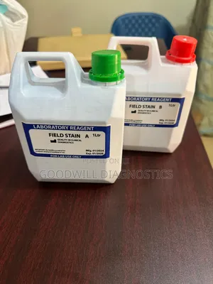 Microscope Field Stains a B