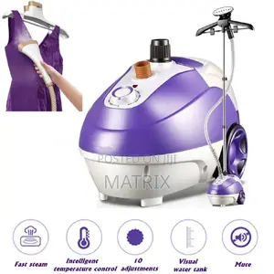 DSP Professional Garment Steamer, Model Kd601
