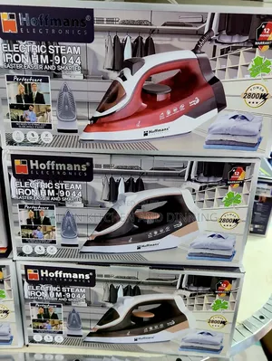 Electric Steam Iron