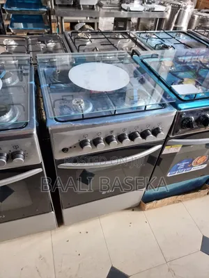 Amazing Cooker/3*1/Gas and Electric