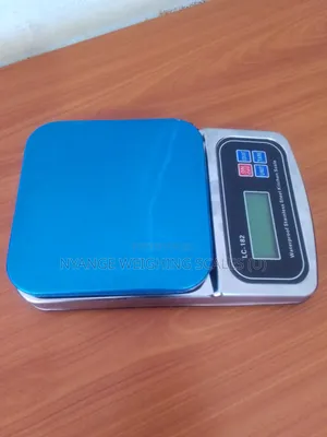 Stainless Electronic Weigh 5kg Weighing Scale Digital Weighing Scale