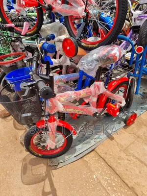 Simple Bikes for Kids/Strong Framed