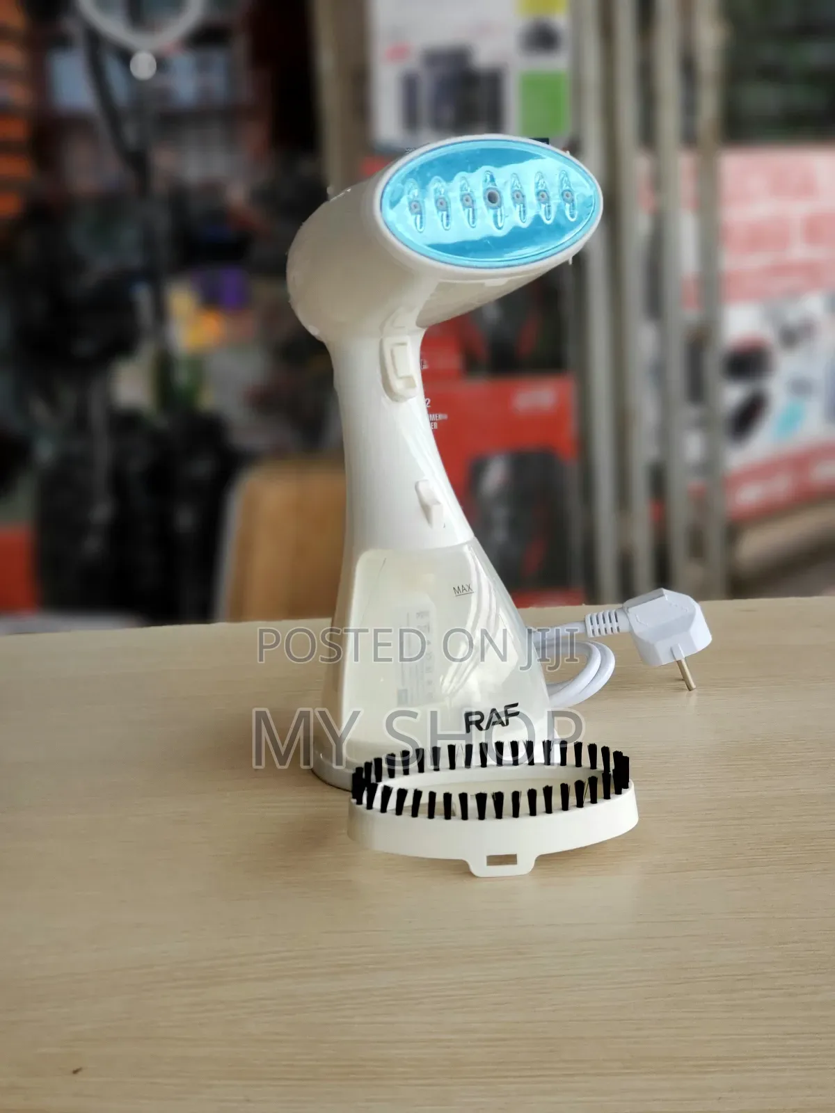 Personal Garment Steamer