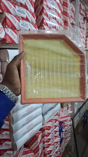 Volvo Air Filter(Original)