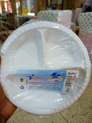 25pcs Disposable Plastic Plates With Three Compartments.