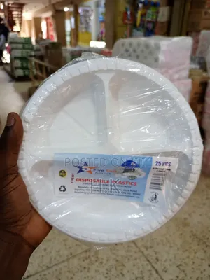 25pcs Disposable Plastic Plates With Three Compartments.