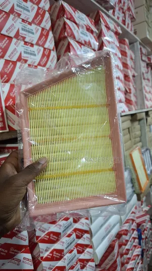 Range Rover Air Filters