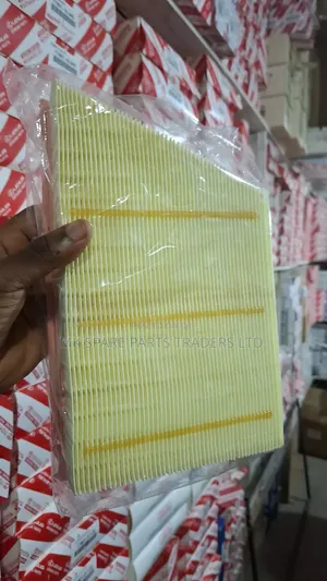 Range Rover Air Filters
