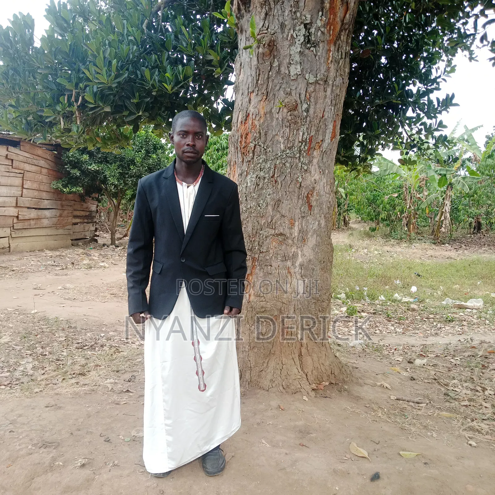 Bbamusiramu Tree Buyer and Chain Saw Cutting