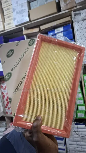 Range Rover Air Filters