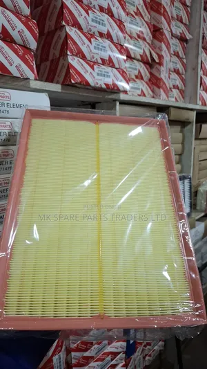 Mercedes Benz Air Filters (Sprinter)