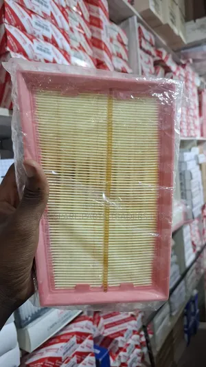 Nissan X-Trail Air Filters