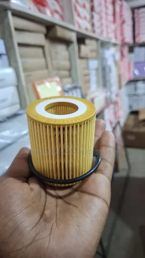Ford Oil Filters
